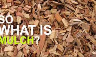 What is Garden Mulch?
