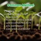 Top Soil / Tanah Bukit (LOAD-6W) Top Soil / Tanah Bukit (LOAD-6W)