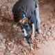 Bosch GSH 9 VC Demolition Hammer with SDS-Max 1500W (06113220L0)