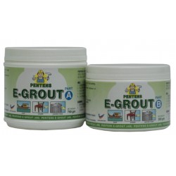 Pentens E-Grout Epoxy Putty Adhesive (0.7KG + 0.3KG) 1KG