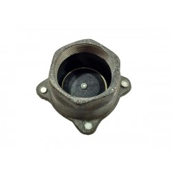 Cast Iron Foot Valves 2"