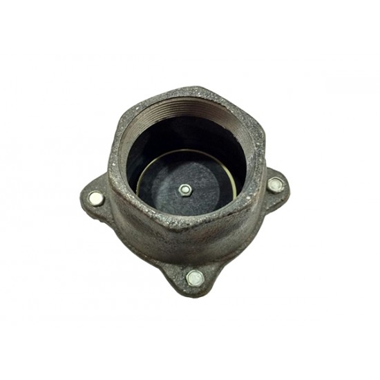 Cast Iron Foot Valves 2" Cast Iron Foot Valves 2"