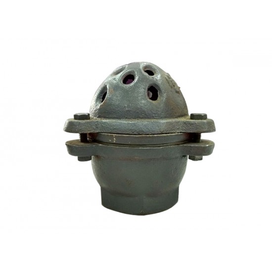 Cast Iron Foot Valves 4" Cast Iron Foot Valves 4"