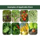 Baba Smart Grow Organic Vegimix Soil 28L (1 BAG)