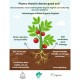 Baba Smart Grow Organic Vegimix Soil 28L (1 BAG)