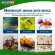 Pesso Eco Ant Bait (2PCS/PKT) Pesso Eco Ant Bait (2PCS/PKT)