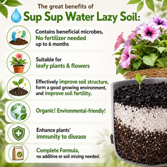 Baba Sup Sup Water Lazy Soil 7L Baba Sup Sup Water Lazy Soil 7L