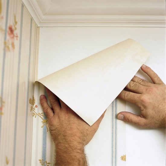 Selleys Wallpaper Adhesive (Ready Mix) 1L