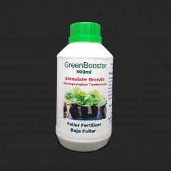 WHT Wellgrow #23852532 Green Booster (Concentrated) 500ML