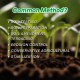 Red Earth Soil / Tanah Merah (LOAD-6W)