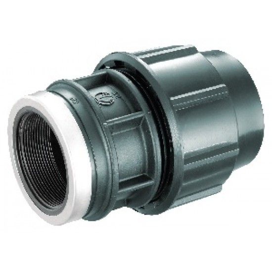 HDPE Poly Fittings Female Threaded Adaptor 25mm x 1"