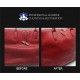 Otter Leather Colour 500ML