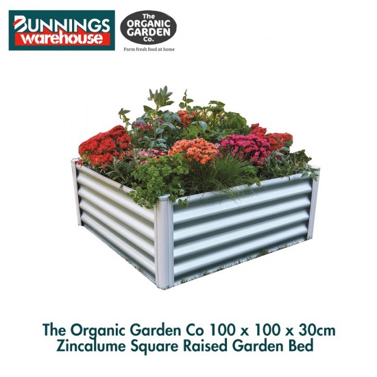 Bunnings The Organic Garden Co #3318228 100 x 100 x 30cm Zincalume Square Raised Garden Bed Bunnings The Organic Garden Co #3318228 100 x 100 x 30cm Zincalume Square Raised Garden Bed