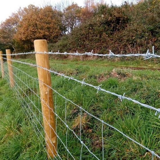 Galvanized G.I Security Barbed Wire #14 ~2.0MM (T) x 55M (L) x ~5.0KG
