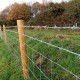Galvanized G.I Security Barbed Wire #14 ~2.0MM (T) x 55M (L) x ~5.0KG