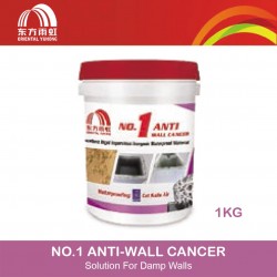 Yuhong No.1 Anti-Wall Cancer Solution For Damp Walls 1KG 