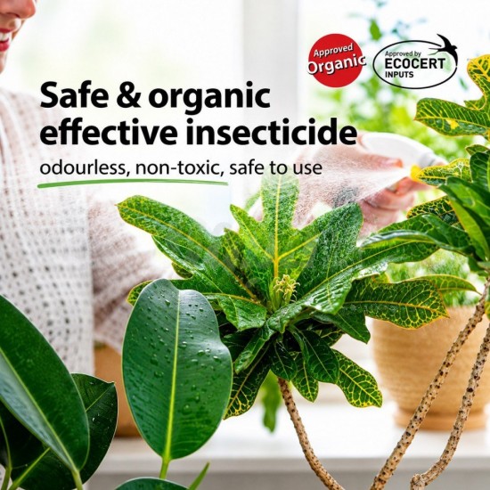 Baba Mr Ganick PT-8003 Dr. Neem Organic & Broader-Range Protection Against Pests 500ML Baba Mr Ganick PT-8003 Dr. Neem Organic & Broader-Range Protection Against Pests 500ML