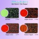 Nicora Season Water Borne Decorative Paint For Interior & Exterior 1KG