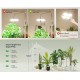 SANSI 125W Tall Standing Grow Light Full Spectrum 4000K With Remote Control SANSI 125W Tall Standing Grow Light Full Spectrum 4000K With Remote Control
