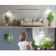 SANSI 125W Tall Standing Grow Light Full Spectrum 4000K With Remote Control SANSI 125W Tall Standing Grow Light Full Spectrum 4000K With Remote Control