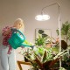SANSI 125W Tall Standing Grow Light Full Spectrum 4000K With Remote Control SANSI 125W Tall Standing Grow Light Full Spectrum 4000K With Remote Control