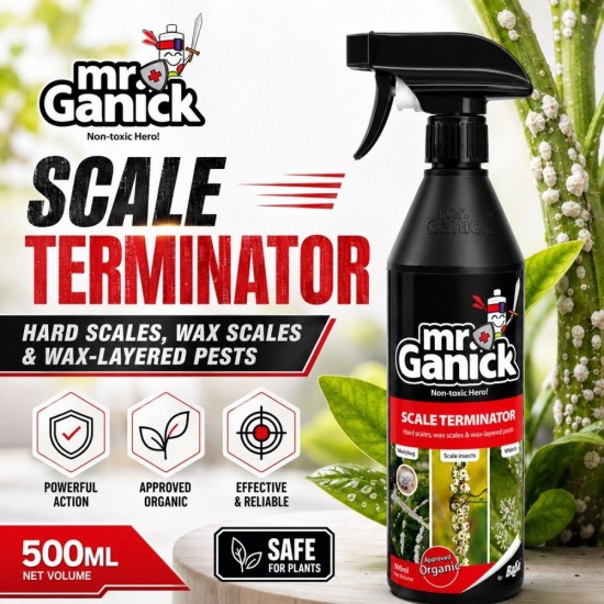 Baba Mr Ganick Scale Terminator Hard Scale, Wax Scale & Wax-Layered Pests 500ML Baba Mr Ganick Scale Terminator Hard Scale, Wax Scale & Wax-Layered Pests 500ML
