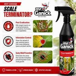 Baba Mr Ganick Scale Terminator Hard Scale, Wax Scale & Wax-Layered Pests 500ML Baba Mr Ganick Scale Terminator Hard Scale, Wax Scale & Wax-Layered Pests 500ML