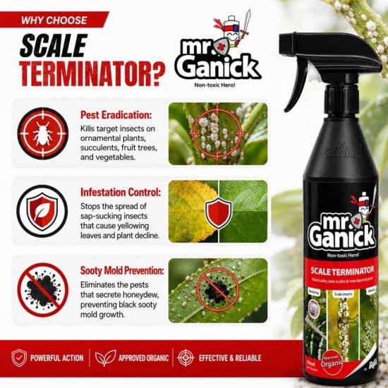 Baba Mr Ganick Scale Terminator Hard Scale, Wax Scale & Wax-Layered Pests 500ML Baba Mr Ganick Scale Terminator Hard Scale, Wax Scale & Wax-Layered Pests 500ML