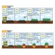 Baba Yasa-i Super Vege Tray 56CM (L) x 42CM (W) x 13CM (H)