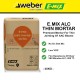 E.Mix ALC Thin Mortar Cement-Based Premixed Mortar For Thin Jointing of ALC Blocks 40KG (GREY)
