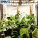 SANSI 50W LED Grow Bar Light Daylight Full Spectrum And Sunlight Grow Light Lamp For Indoor Garden Houseplants/Greenhouse SANSI 50W LED Grow Bar Light Daylight Full Spectrum And Sunlight Grow Light Lamp For Indoor Garden Houseplants/Greenhouse