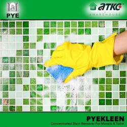 PYE Kleen Concentrated Stain Remover For Mosaic & Toilet 500ML PYE Kleen Concentrated Stain Remover For Mosaic & Toilet 500ML