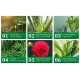 SANSI 10W LED Grow Light Bulb Daylight Full Spectrum E27 And Sunlight White Grow Light Lamp For Indoor Garden Houseplants/Greenhouse
