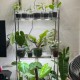 SANSI 20W T8 LED Plant Grow Light Daylight Full Spectrum And Sunlight White Grow Light Lamp For Indoor Garden Houseplants/Greenhouse