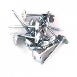 Galvanized (GI) Roofing Nail 2 1/2" (1KG)