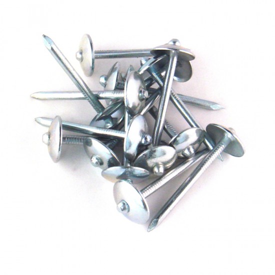 Galvanized (GI) Roofing Nail 2 1/2" (1KG)