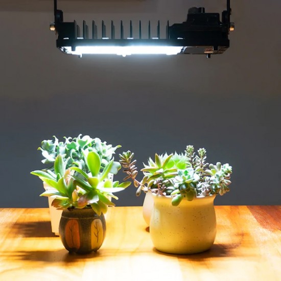 SANSI 100W Dimmable LED Grow Light Full Spectrum And Sunlight Grow Light Lamp For Indoor Garden Houseplants/Greenhouse SANSI 100W Dimmable LED Grow Light Full Spectrum And Sunlight Grow Light Lamp For Indoor Garden Houseplants/Greenhouse