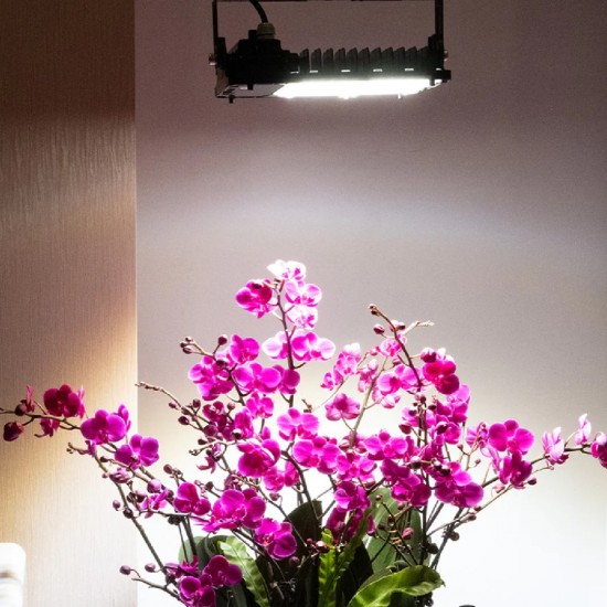SANSI 100W Dimmable LED Grow Light Full Spectrum And Sunlight Grow Light Lamp For Indoor Garden Houseplants/Greenhouse SANSI 100W Dimmable LED Grow Light Full Spectrum And Sunlight Grow Light Lamp For Indoor Garden Houseplants/Greenhouse