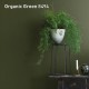 Jotun Majestic Sense Premium Interior Paint For Interior Wall 5L/15L Jotun Majestic Sense Premium Interior Paint For Interior Wall 5L/15L