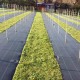 Home Store Weedmat Landscape Fabric Durable Outdoor Gardening Weed Control Mat Garden Ground Cover 100gsm Home Store Weedmat Landscape Fabric Durable Outdoor Gardening Weed Control Mat Garden Ground Cover 100gsm