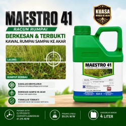 4L Maestro 41 Racun Rumput (Kelas III)