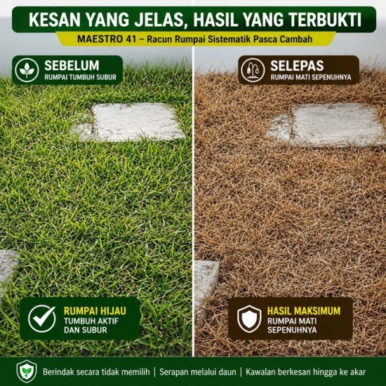 4L Maestro 41 Racun Rumput (Kelas III) 4L Maestro 41 Racun Rumput (Kelas III)