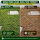4L Maestro 41 Racun Rumput (Kelas III) 4L Maestro 41 Racun Rumput (Kelas III)