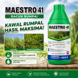 1L Maestro 41 Racun Rumput (Kelas III)