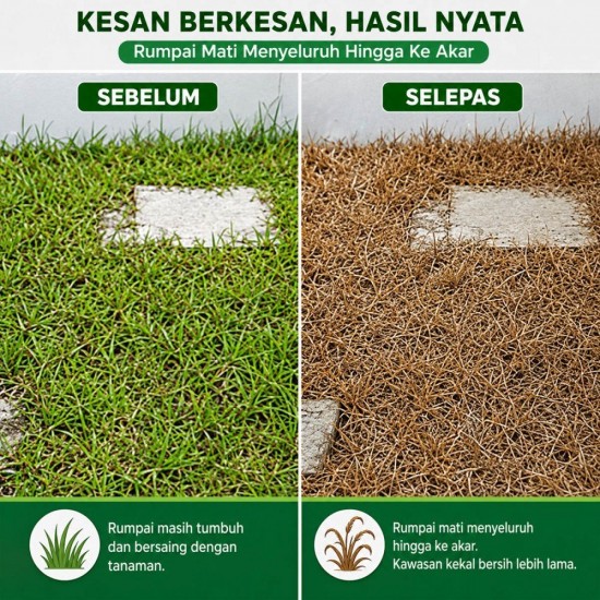 1L Maestro 41 Racun Rumput (Kelas III) 1L Maestro 41 Racun Rumput (Kelas III)