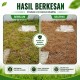 4L Pounce 410 Racun Rumput/Racun Rumpai (Kelas III) 4L Pounce 410 Racun Rumput/Racun Rumpai (Kelas III)