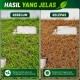 20L Maestro 41 Racun Rumput (Kelas III) 20L Maestro 41 Racun Rumput (Kelas III)
