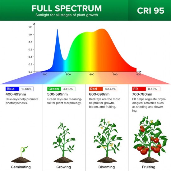 Sansi 10W Adjustable 2-Head Clip-On Light Holder + 2x 10W LED Grow Light