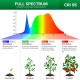 Sansi 10W Adjustable 2-Head Clip-On Light Holder + 2x 10W LED Grow Light