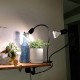 Sansi 10W Adjustable 2-Head Clip-On Light Holder + 2x 10W LED Grow Light